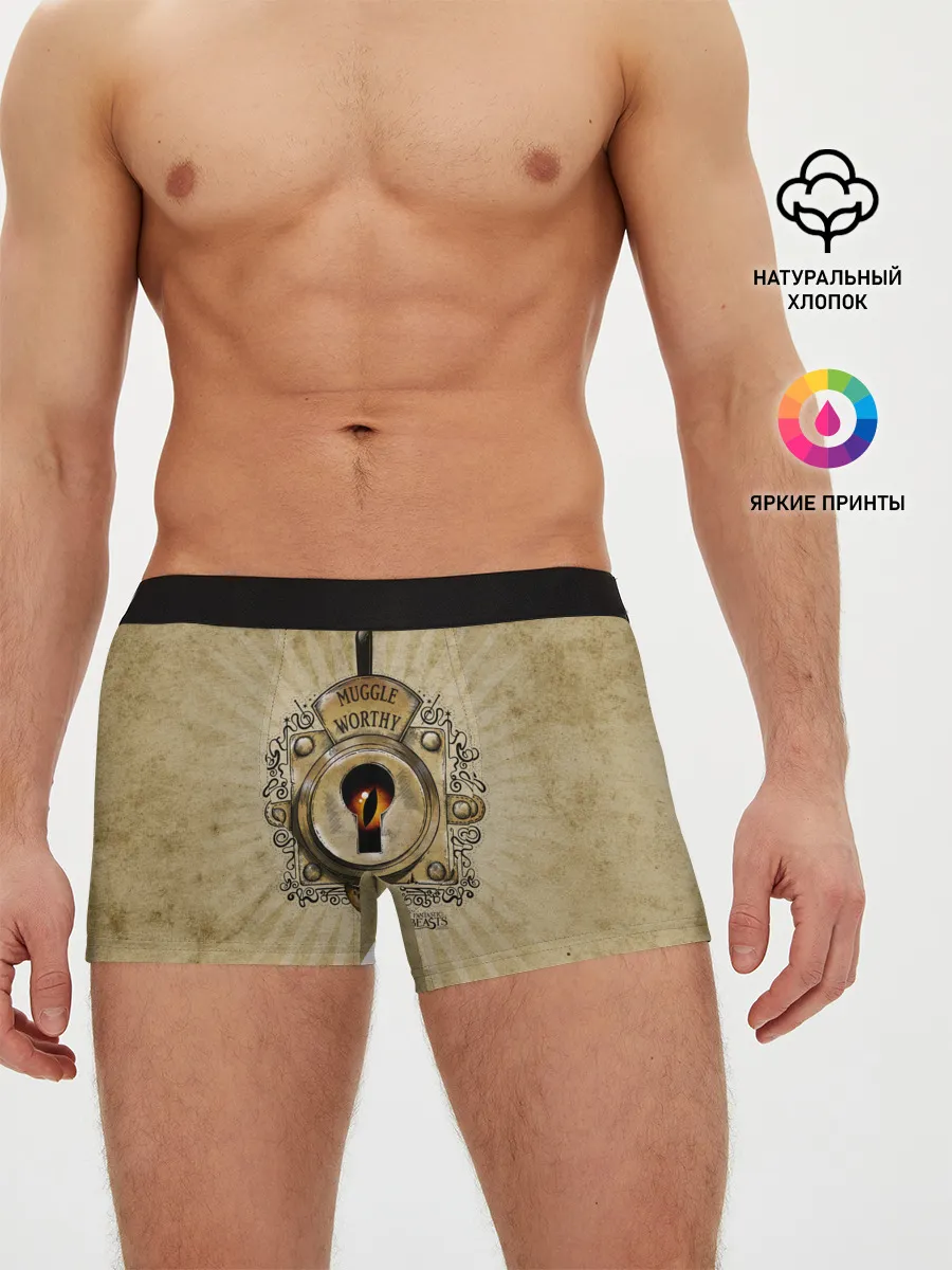 Мужские трусы боксеры / Muggle Worthy