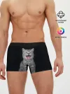 Мужские трусы боксеры / Котенок