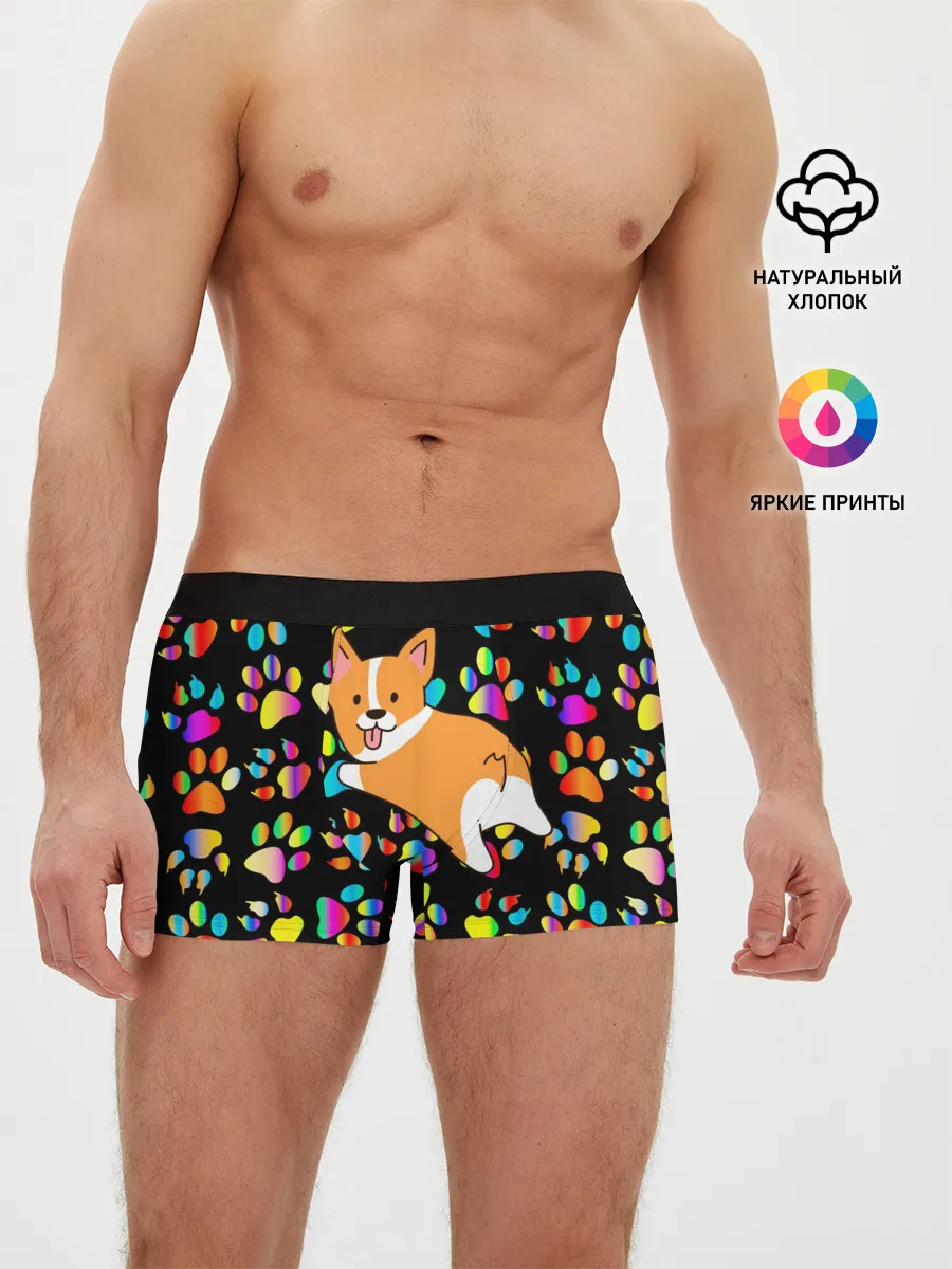 Мужские трусы боксеры / Корги | Цветные лапки