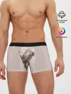 Мужские трусы боксеры / Дазай и Чуя
