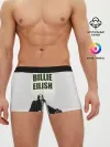 Мужские трусы боксеры / Billie Eilish