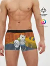 Мужские трусы боксеры / Финн и Джейк