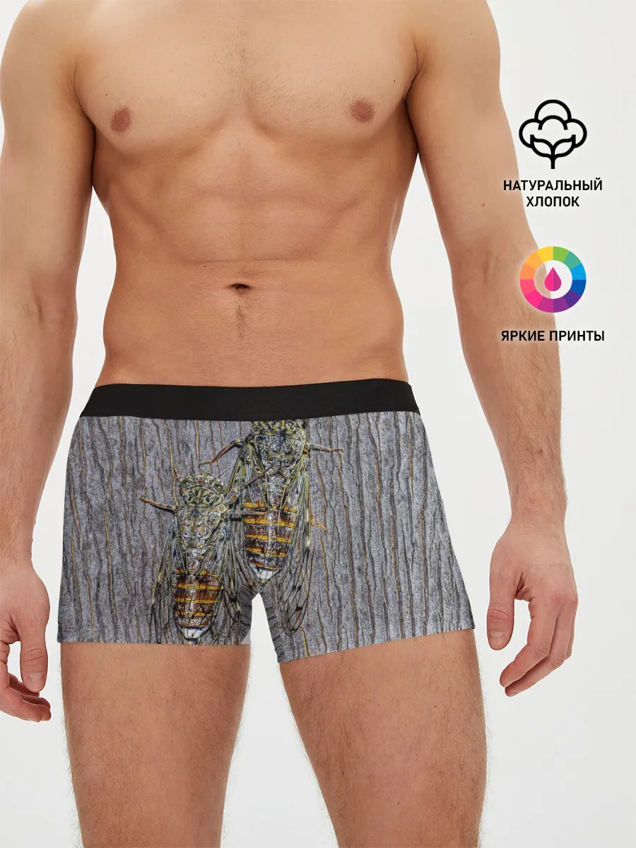 Мужские трусы боксеры / Цикады