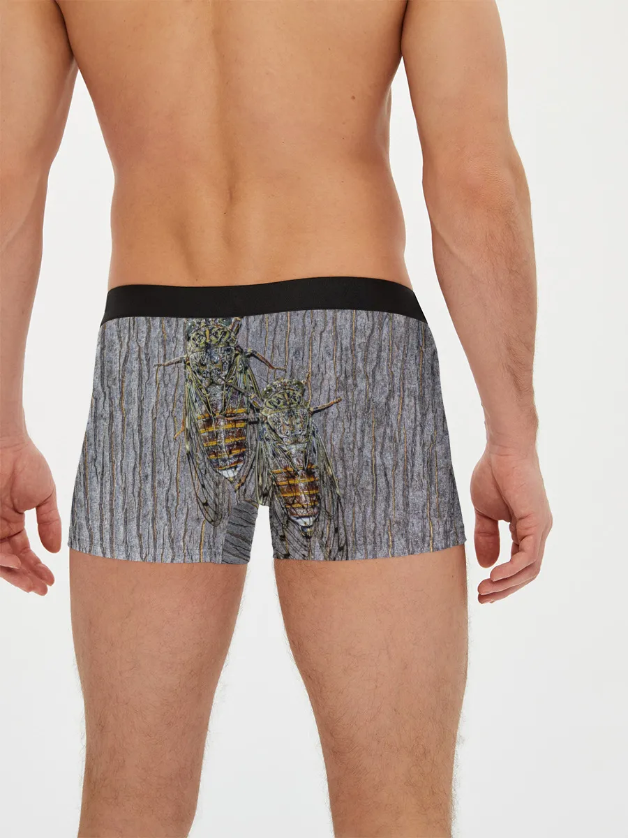 Мужские трусы боксеры / Цикады