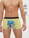 Мужские трусы боксеры / SONIC