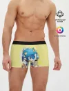 Мужские трусы боксеры / SONIC