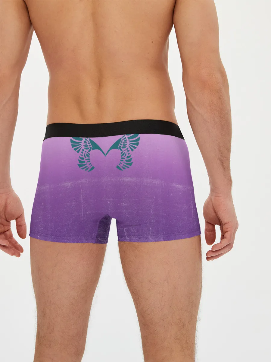 Мужские трусы боксеры / PLACEBO