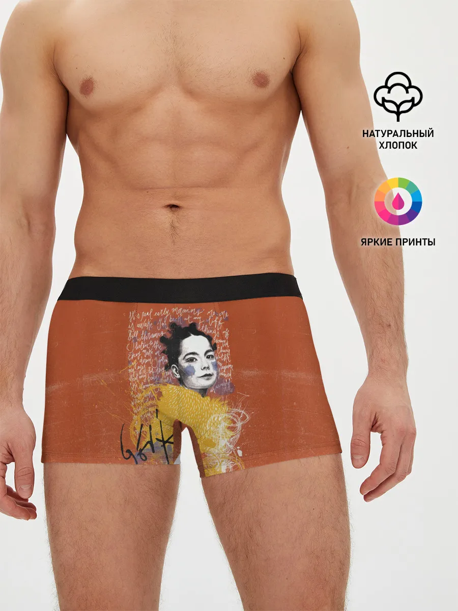 Мужские трусы боксеры / Bjork