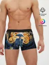Мужские трусы боксеры / Van Gogh Tardis