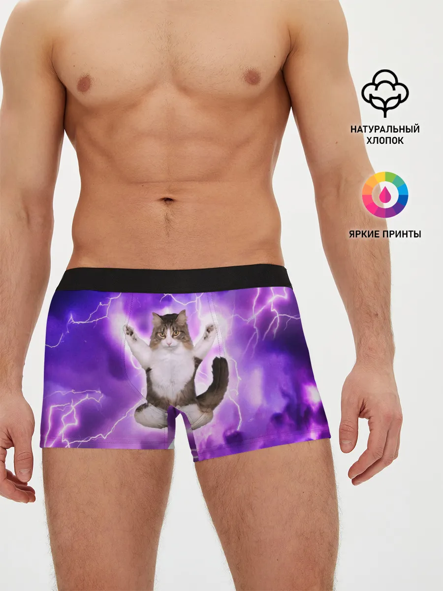 Мужские трусы боксеры / Повелитель Молний | Котэ