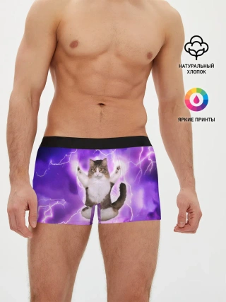Мужские трусы боксеры / Повелитель Молний | Котэ