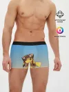 Мужские трусы боксеры / Пикачу