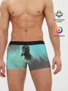 Мужские трусы боксеры / Чумной доктор