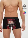 Мужские трусы боксеры / SABATON