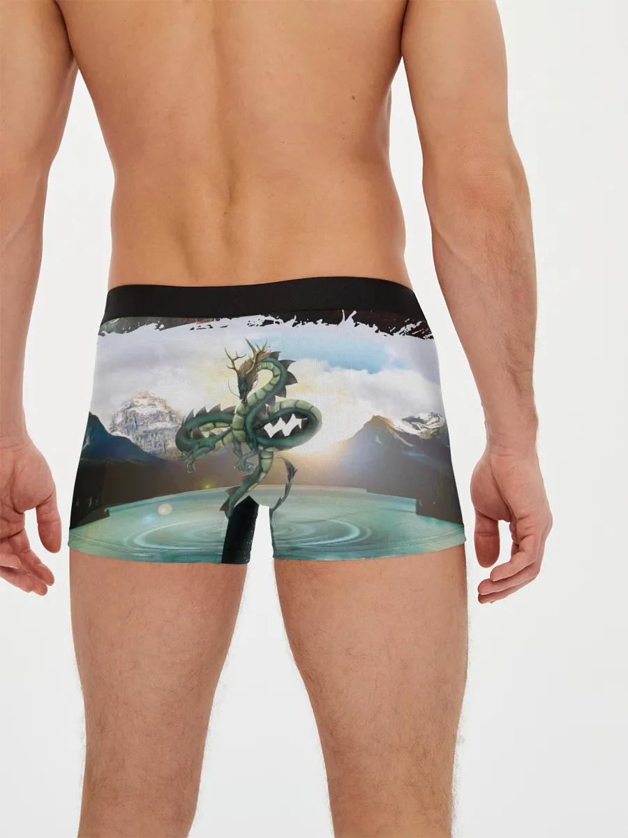 Мужские трусы боксеры / Дракон | Dragon