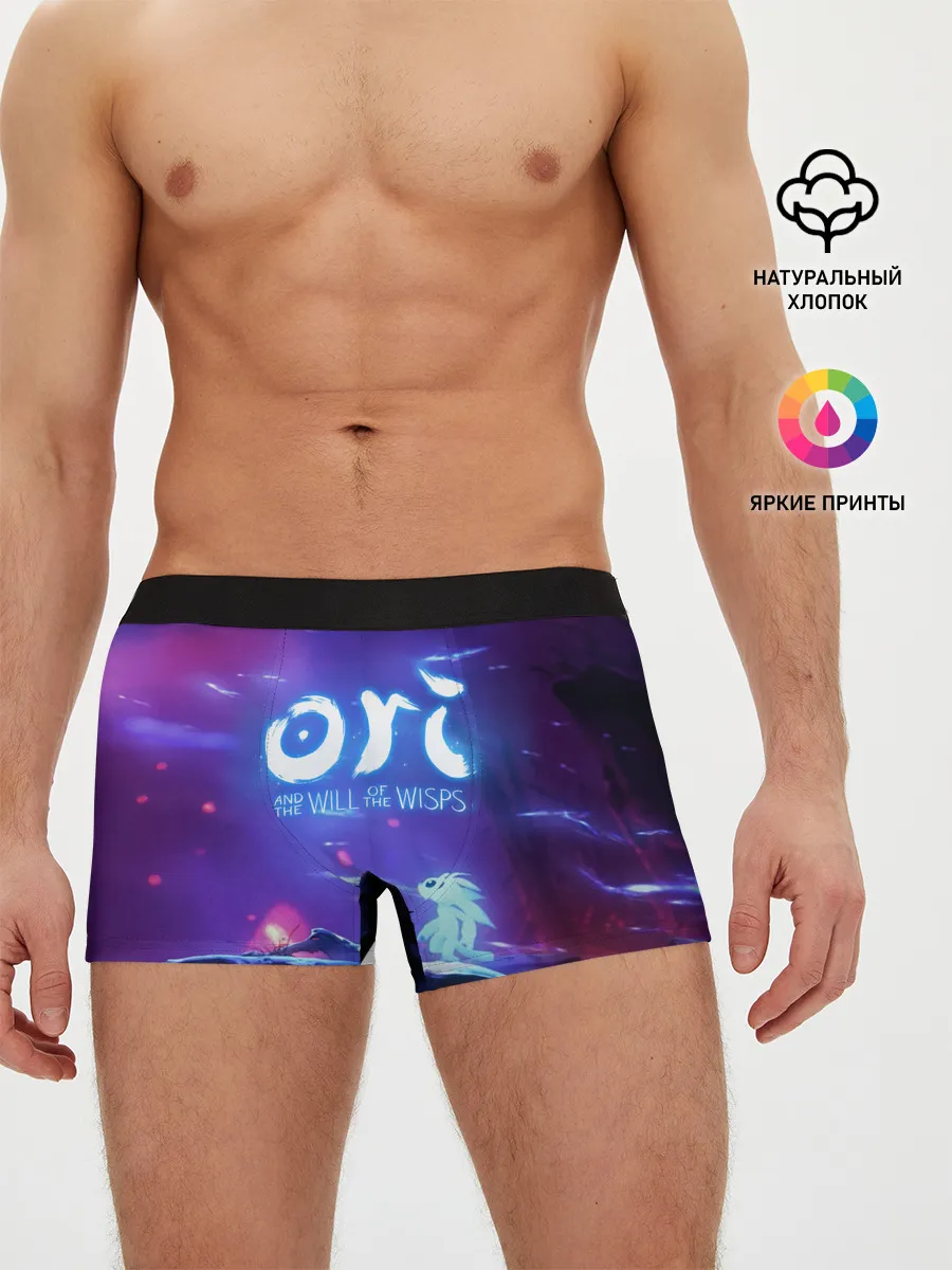 Мужские трусы боксеры / Ori and the Will of the Wisps