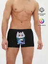 Мужские трусы боксеры / Котёнок в пледе