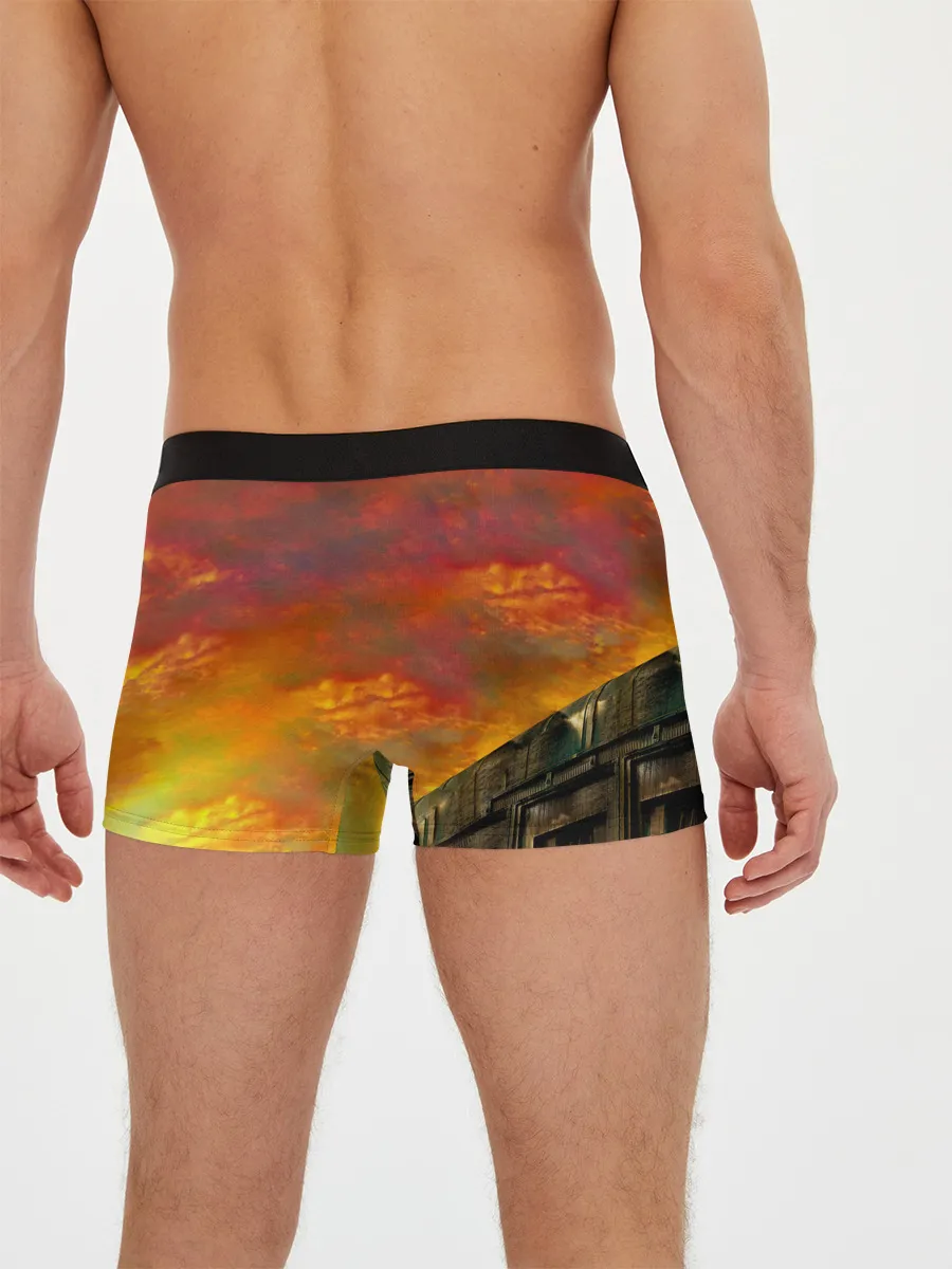 Мужские трусы боксеры / Черепашки - ниндзя