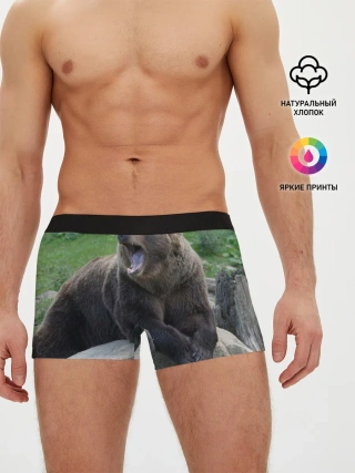 Мужские трусы боксеры / Медведь
