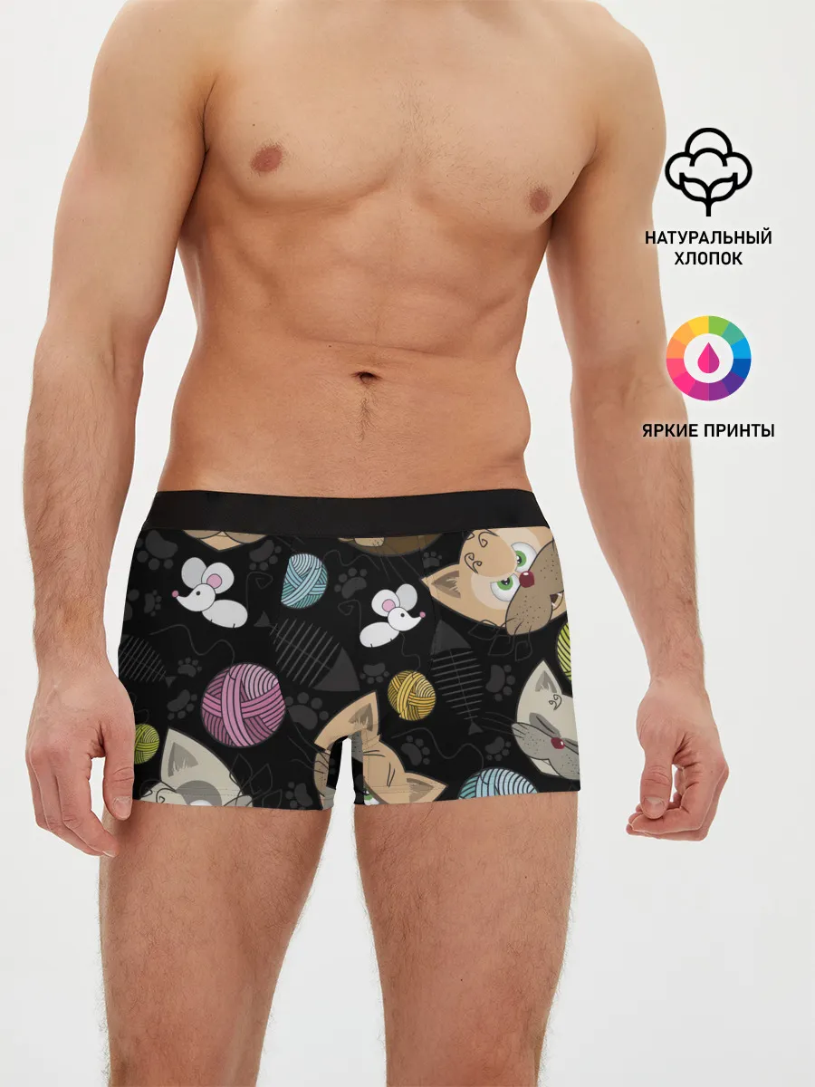 Мужские трусы боксеры / Злой кот.