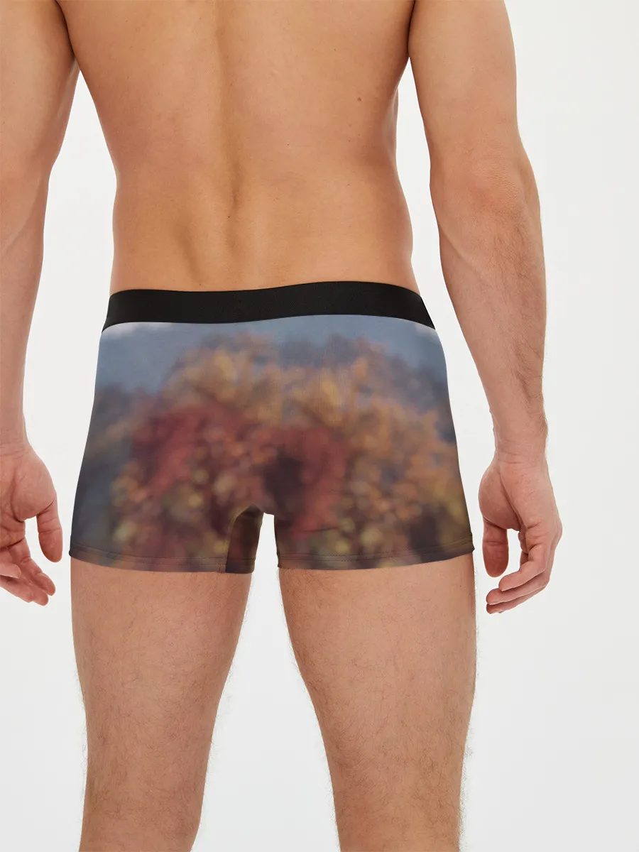 Мужские трусы боксеры / FALLOUT_76.