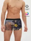 Мужские трусы боксеры / FALLOUT_76.