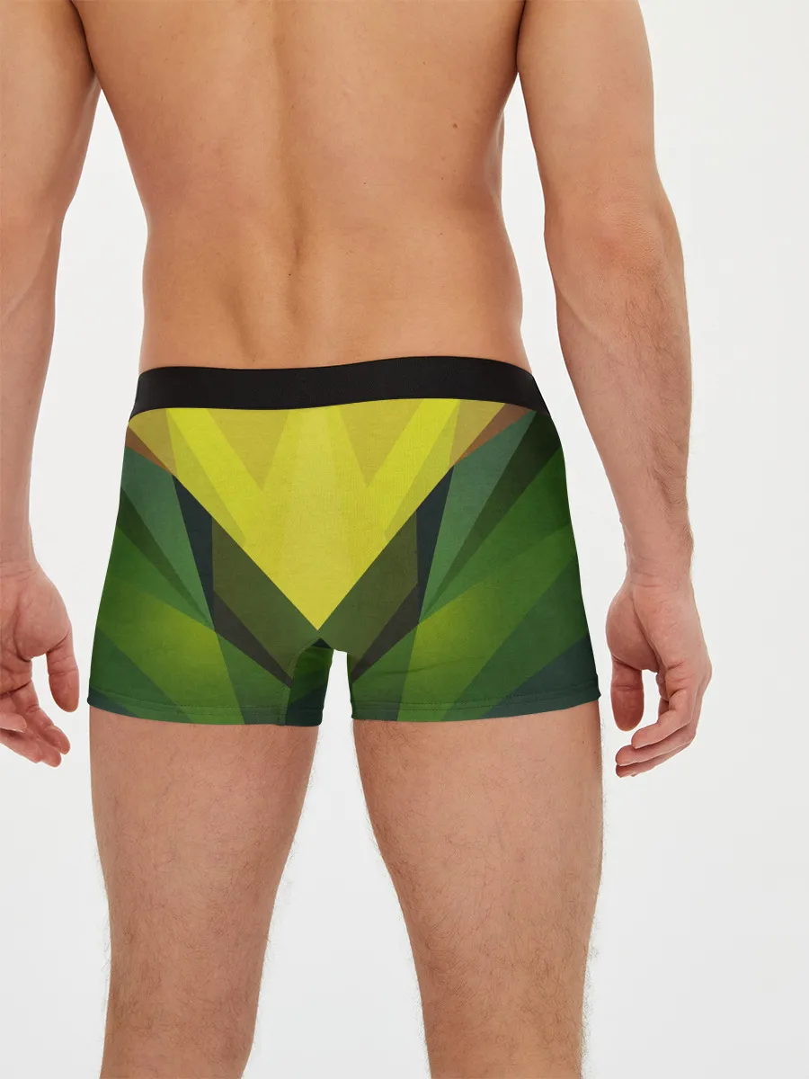 Мужские трусы боксеры / Proud Like a God