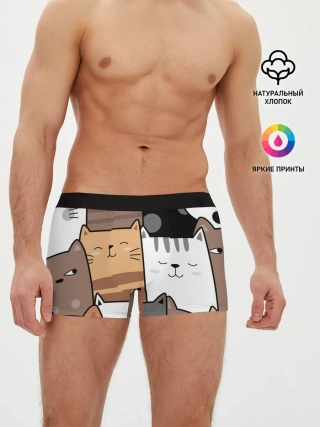 Мужские трусы боксеры / КОТЕЙКИ | ПАТТЕРН