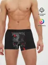 Мужские трусы боксеры / Megadeth