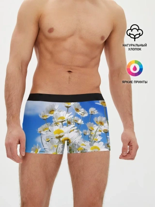Мужские трусы боксеры / Ромашки