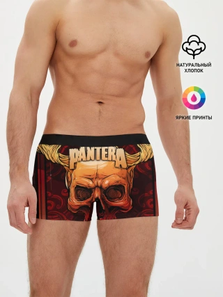 Мужские трусы боксеры / Pantera