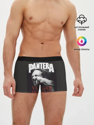 Мужские трусы боксеры / PANTERA VULGAR OF POWER