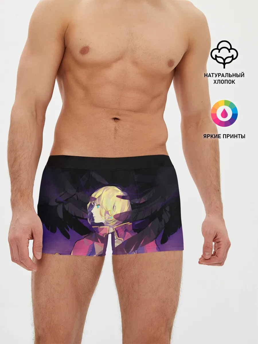 Мужские трусы боксеры / Крылья Хаула