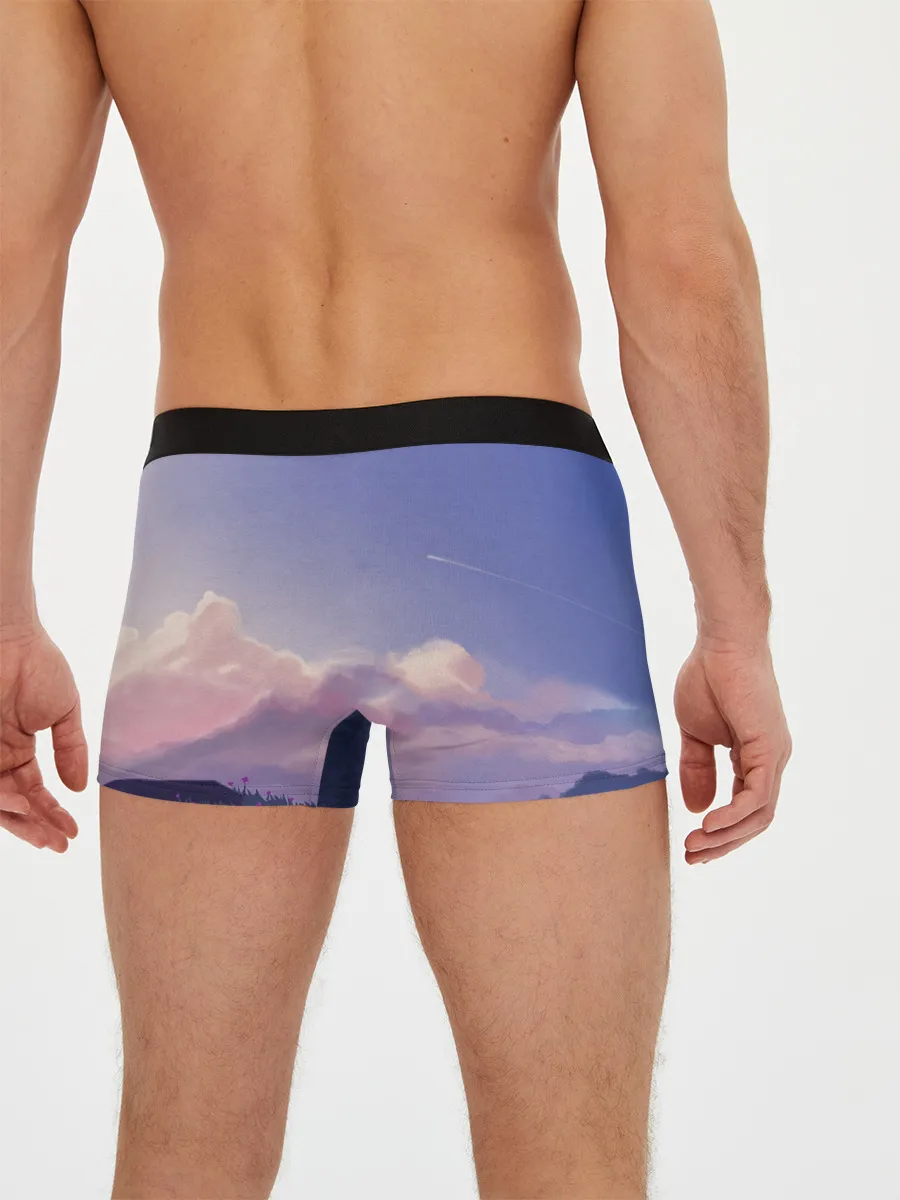 Мужские трусы боксеры / Маркл и Пугало-Репка