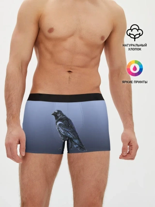 Мужские трусы боксеры / футуристический ворон