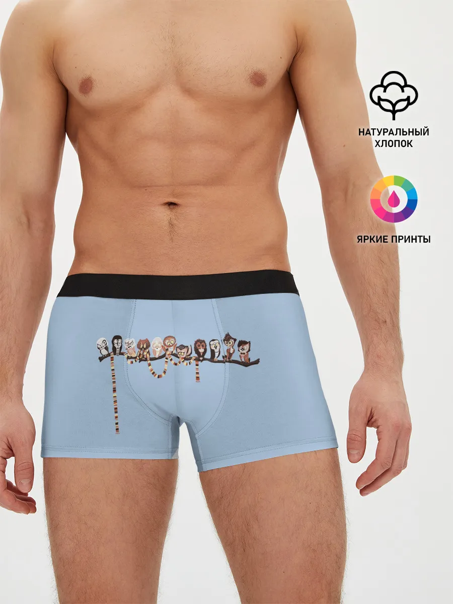 Мужские трусы боксеры / Совы на ветке