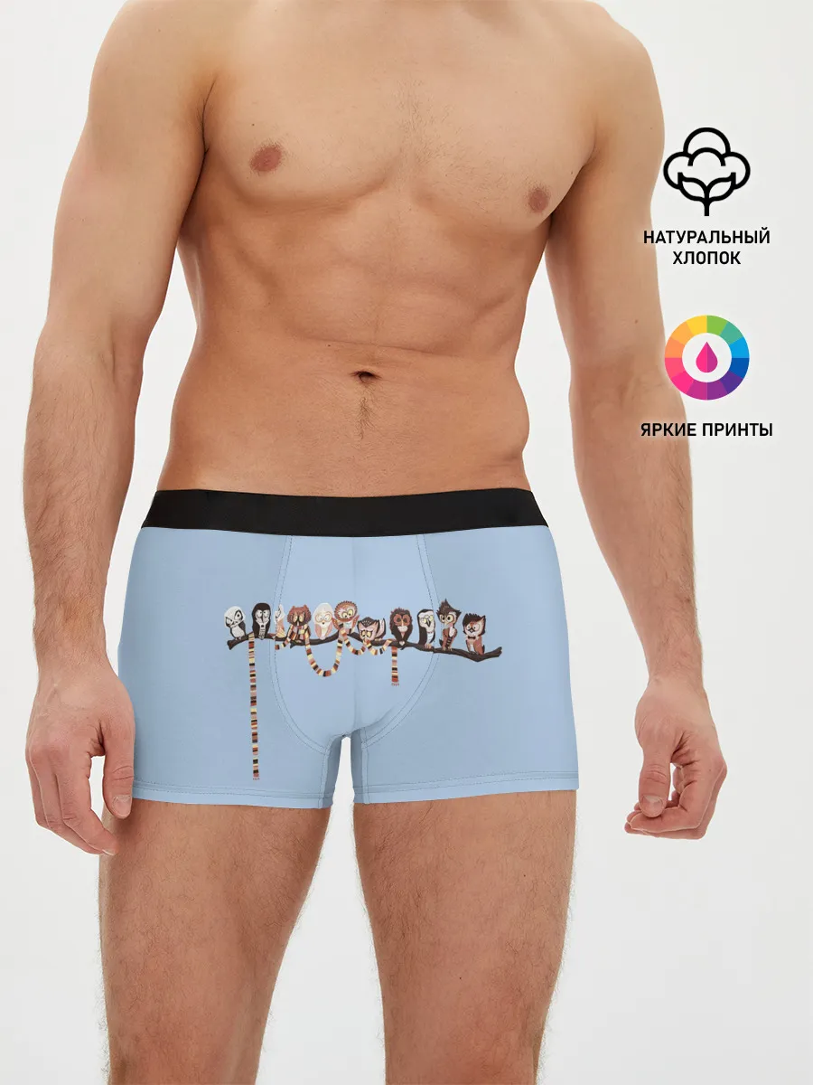 Мужские трусы боксеры / Совы на ветке