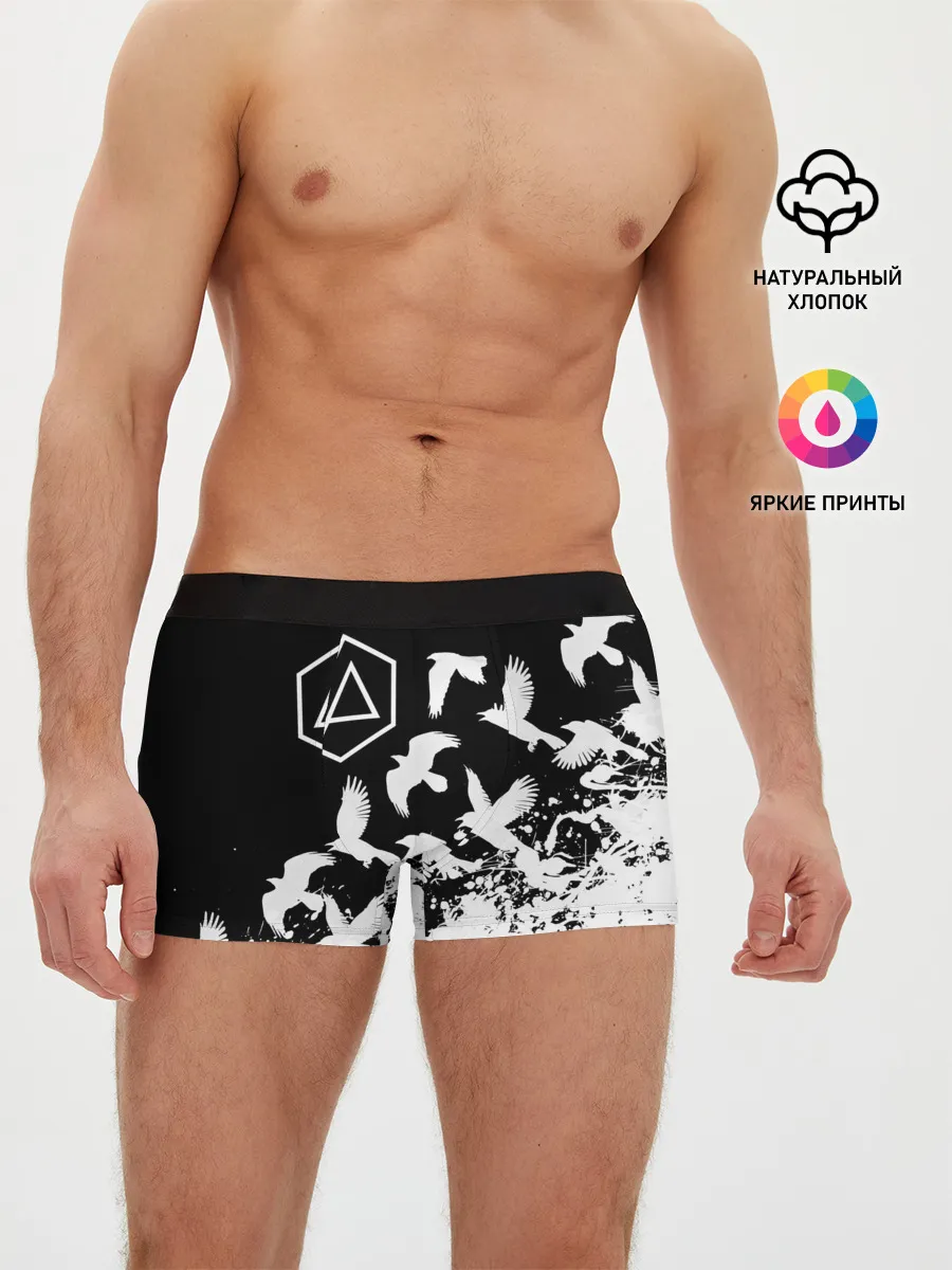 Мужские трусы боксеры / LINKIN PARK [1]