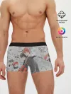 Мужские трусы боксеры / Сато и Рицу