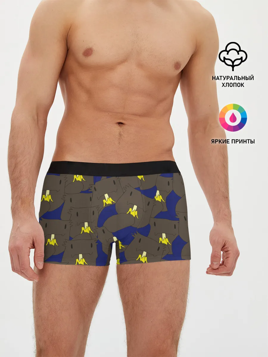 Мужские трусы боксеры / РАК