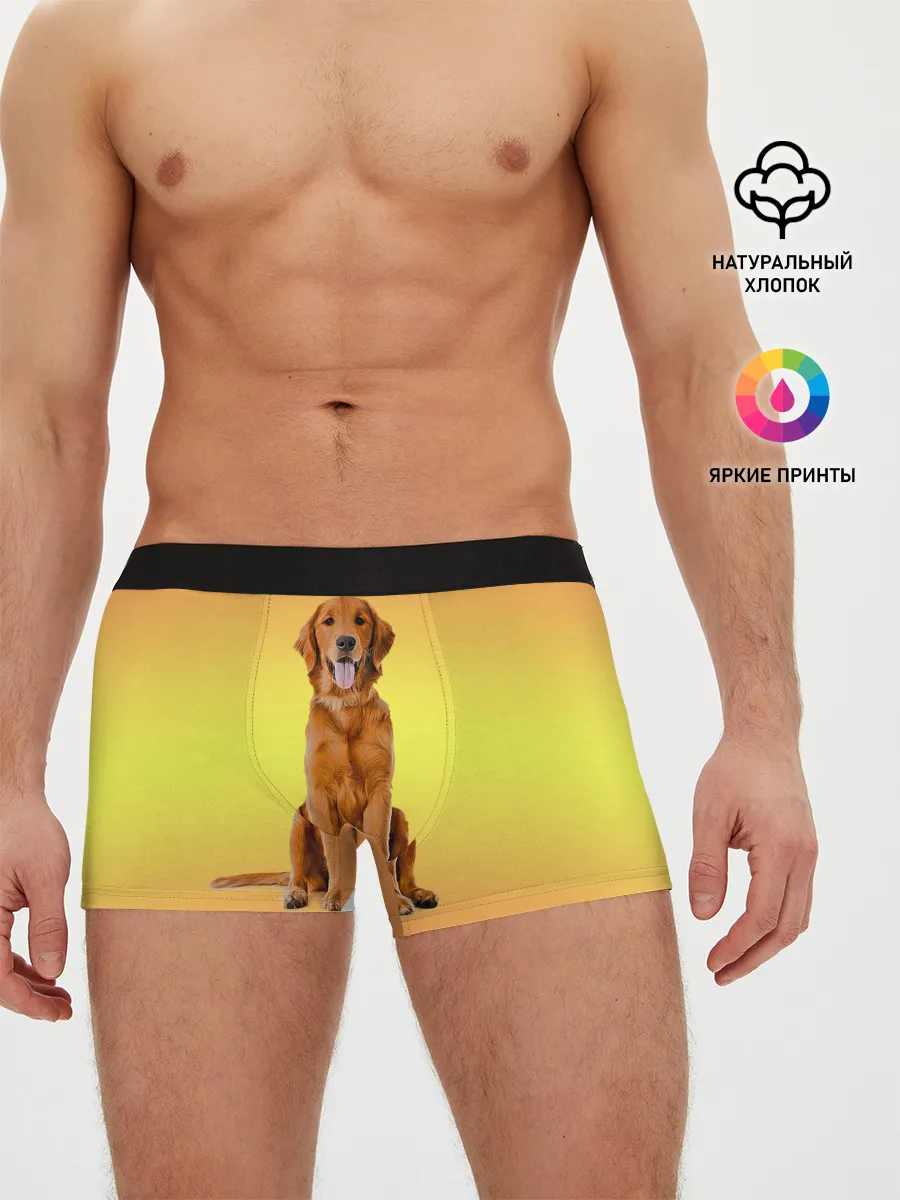 Мужские трусы боксеры / Золотистый ретривер