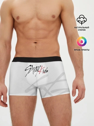 Мужские трусы боксеры / Stray Kids