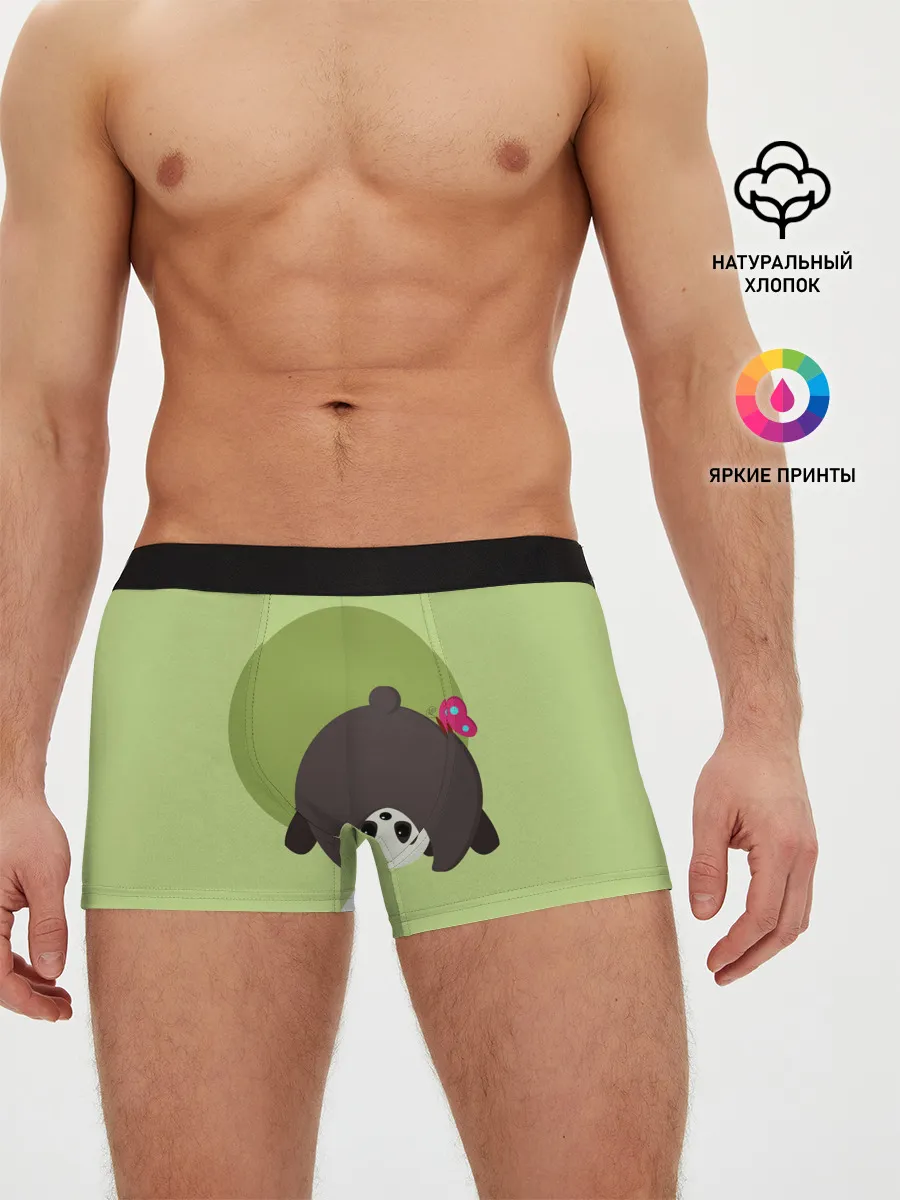 Мужские трусы боксеры / Прикольная панда с бабочкой