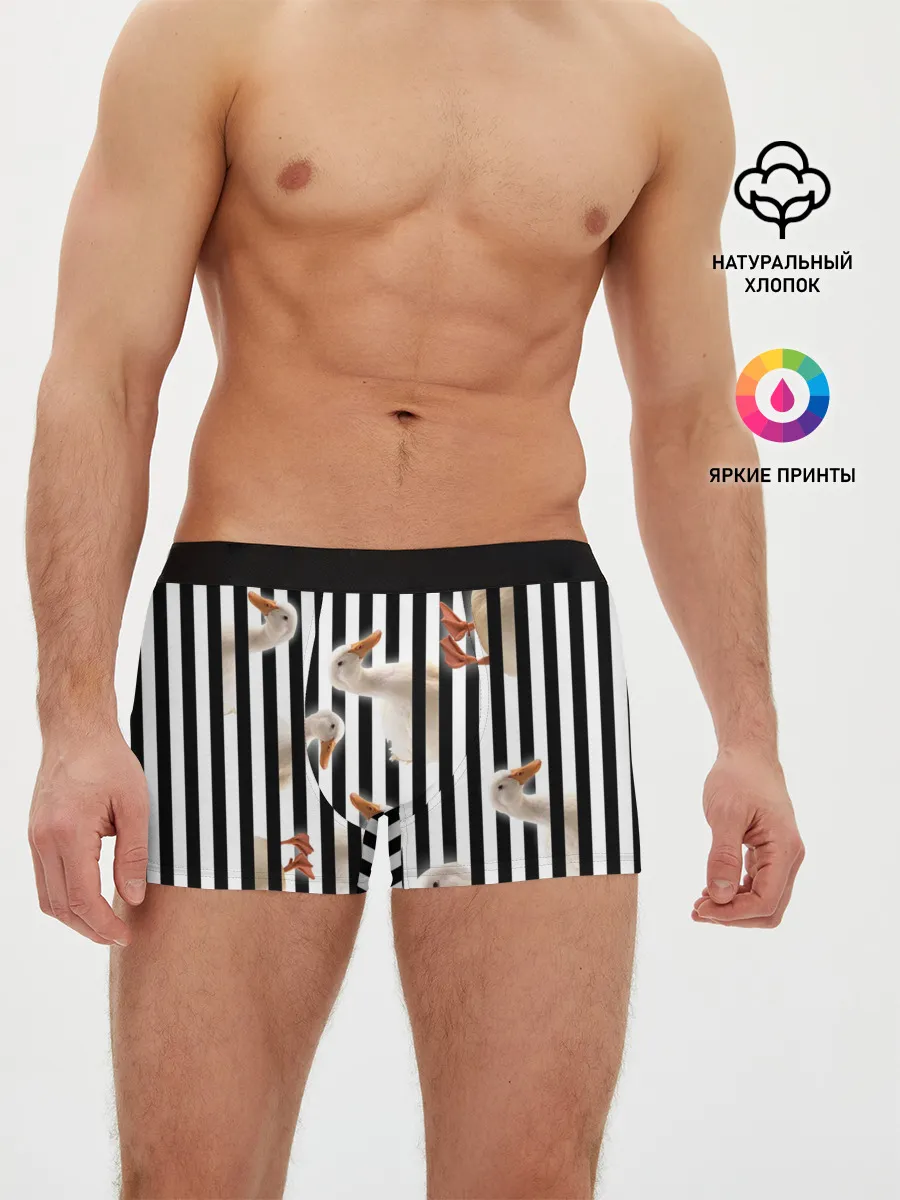 Мужские трусы боксеры / Гуси