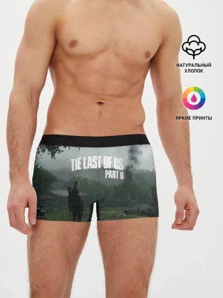 Мужские трусы боксеры / The last of Us 2