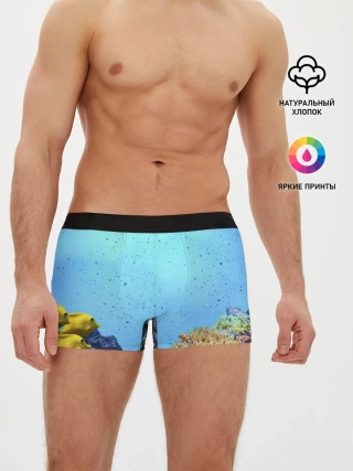Мужские трусы боксеры / Подводный мир