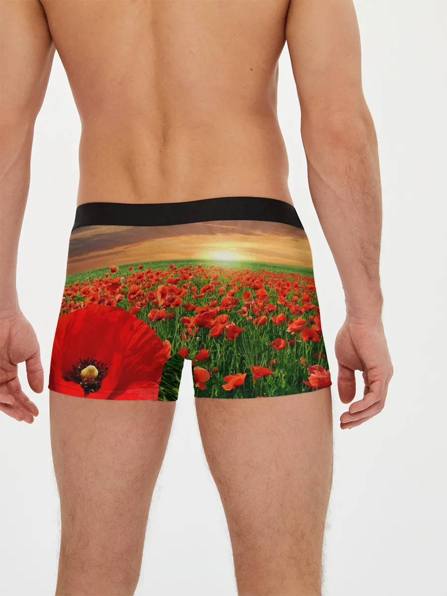 Мужские трусы боксеры / Красный мак на закате