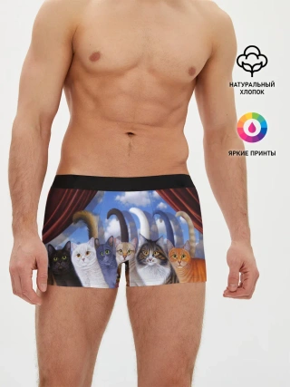 Мужские трусы боксеры / Коты