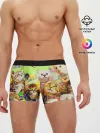 Мужские трусы боксеры / КОТЫ