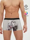 Мужские трусы боксеры / 2b